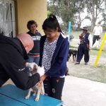 vacunacion-mascotas-barrio-san-francisco-javier