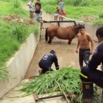 DSC02035.JPG-2 DSC02035.JPG-2