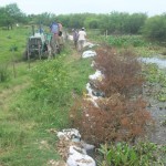 Refuerzan defensas en El Laurel_1