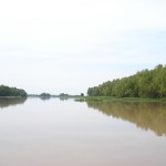 Zona de isla_1 Zona de isla_1