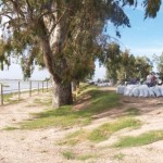 Empleados municiaples reforzando defensa en la costanera de San Javier_1