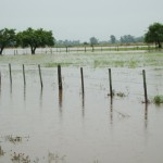 Campos anegados en Sta Rosa de Calchines_1
