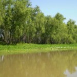 Archivo - Zona de isla._1