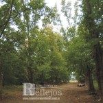 Vivero Municipal San Javier