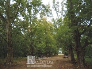 Vivero Municipal San Javier