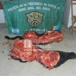 Abigeato 30 - 06 - 13