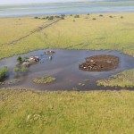 LA PROVINCIA DECRETÓ LA EMERGENCIA AGROPECUARIA EN LOCALIDADES AFECTADAS POR LAS LLUVIAS