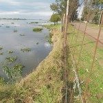 Erosión Río San Javier 15 - 07 - 14 - 1