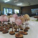 LA ESCUELA 6099 REALIZÓ SU TERCERA FERIA DE CIENCIA 1