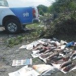 Decomisaron Pescado 08 - 10 - 14 - 1