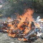 Decomiso de pescado 08 - 10 - 14 - 2