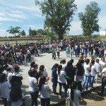 ABORDAJE INTEGRAL DE LA VIOLENCIA 1