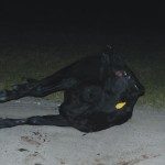 Accidente 07 - 11 - 14 - 2