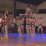 Festival de patin 20 - 12 - 14