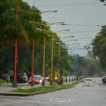 Día de lluvia - Fernando Nini