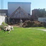 Quincho Huracán 2015