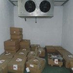 SAN JAVIER TIENE SALA DE FAENAMIENTO DE PESCADO 1