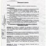 Ordenanza 040-2010_1