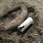 TRABAJOS PARA REEMPLAZAR CAÑO DEL SERVICIO DE CLOACAS DE BARRIO FEDERAL  1