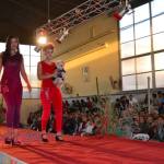 Mega Desfile 2014