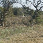 Accidente 21 - 06 - 15 - 4