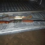 Los Pumas 05 - 06 - 15