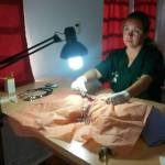 NUEVA JORNADA MUNICIPAL DE CASTRACIÓN DE ANIMALES DOMÉSTICOS