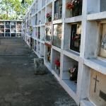 Cementerio Municipal
