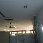 Correo San Javier 28 - 07 - 15 - 2