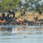 Crecida Río San Javier 30 de junio 1