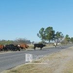 Crecida Río San Javier 30 de junio 2