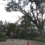 EL MUNICIPIO DE SAN JAVIER CONTINÚA CON EL PLAN DE PODA Y DESMALEZAMIENTO