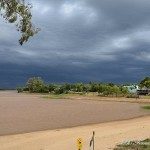 FRENTE DE TORMENTA - FERNA NINI