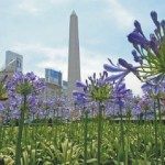 Bienvenida Primavera 2015