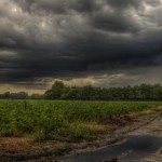 tormenta-perfecta-campo