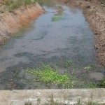 FENÓMENO EL NIÑO  SE REALIZARON TRABAJOS PREVENTIVOS EN LA ZONA NORTE DEL DISTRITO 1