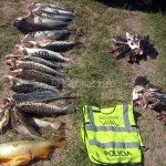 Secuestro Pescado Seguridad Vial