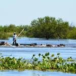 1010007_696954263773553_2725834515830512513_n