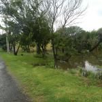 Crecida río 23 - 12 - 15 - 2