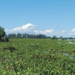 Crecientes históricas del río San Javier