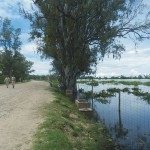 DESACELERA EL RITMO DE CRECIDA Y REFUERZAN DEFENSA EN LA ZONA URBANA