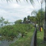 DESACELERA EL RITMO DE CRECIDA Y REFUERZAN DEFENSA EN LA ZONA URBANA  5