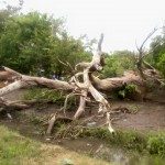 Fuerte temporal Romang 1