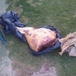 MÁS DE 100 KILOS DE CARNE SECUESTRADOS EN BARRIO SAN FRANCISCO 1
