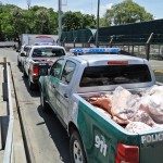 PROCEDIMIENTOS DE LA GUARDIA RURAL LOS PUMAS 1