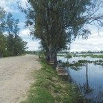 ALERTAN POR NUEVA CRECIDA DEL RÍO PARANÁ  