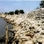 Monumento a la bolsa 4