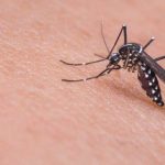 RECOMENDACIONES PARA PREVENIR EL DENGUE, LA CHIKUNGUNYA Y VIRUS ZICA