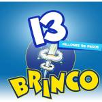 13 BRINCO