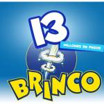 13 - Brinco